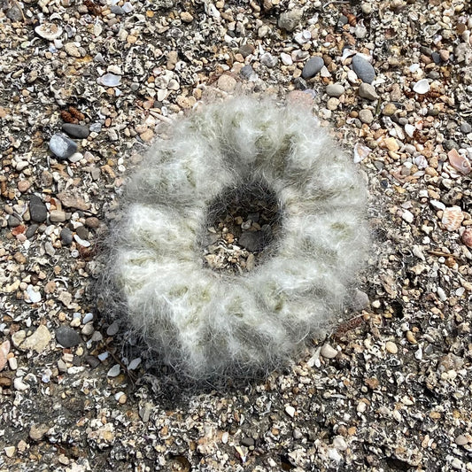 LEOPARD VERT - THE SCRUNCHY